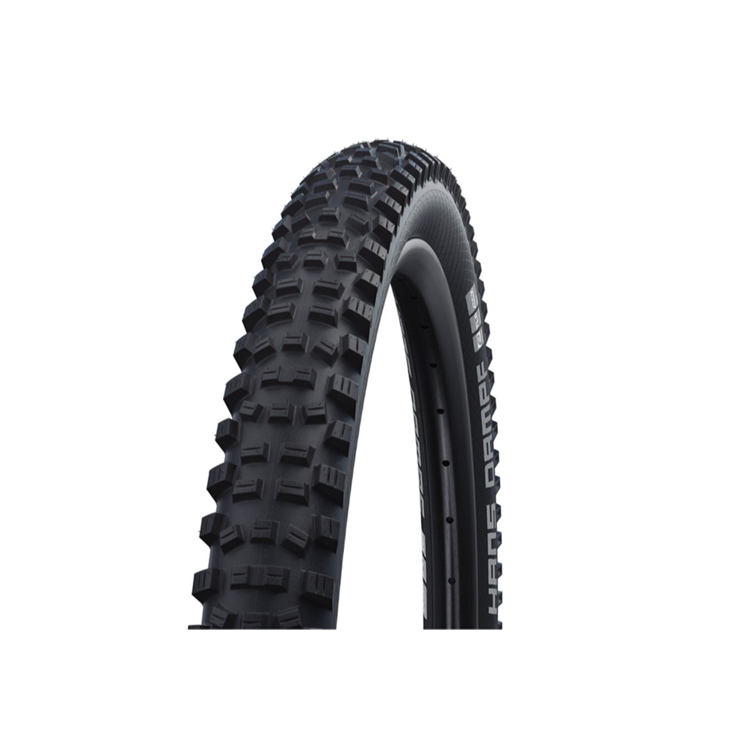 Schwalbe Hans Dampf Addix Evo Bike Cycle MTB TLE Tyre eBay